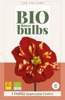 Bio dahlia impression festivo - thumbnail