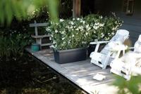 Elho Green basics garden xxl 60 living black - thumbnail