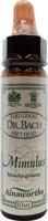 Ainsworths Mimulus Bach 10 Milliliter - thumbnail