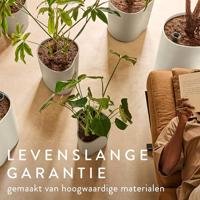 Elho Eden Aquacare Low 40 - Grijs - L 44 x B 40 x H 35 cm - Binnen en Buiten - 100% gerecycled - thumbnail