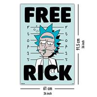Poster Rick and Morty - Free Rick 61x91,5cm - thumbnail