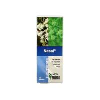 Nasal 100 Tabletten - thumbnail