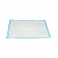 Zindelijkheidstraining-pads voor honden 60 x 60 cm Blauw Wit Papier Polyethyleen (10 Stuks) - thumbnail