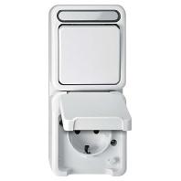 Merten 4075000 AquaStar Compleet Schakel-/stopcontact combinatie spatwaterdicht Lichtgrijs 1 stuks - thumbnail