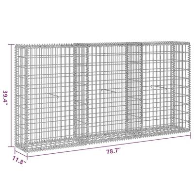 Gabion mand 200x30x100 cm gegalvaniseerd staal