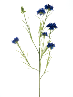 Cornflower spray James dk blue 90 cm kunstbloem Erutan Avon - Erutan avon