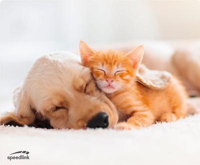 Speedlink Silk Mousepad - Dog + Cat Speedlink Silk Mousepad - Dog + Cat