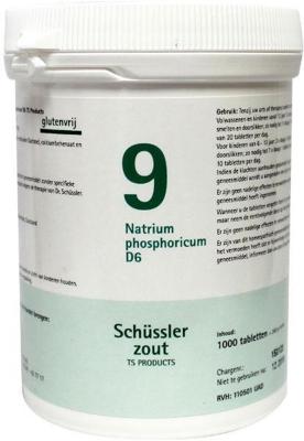 Pfluger Celzout 09 Natrium Phosphoricum Tabletten