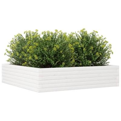 Plantenbak 100x100x23 cm massief grenenhout wit Plantenbak 100x100x23 cm massief grenenhout wit