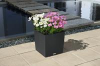 Plantenbak - Kubushuisje 40 - Complete set - Graniet - 31 L - LECHUZA - thumbnail