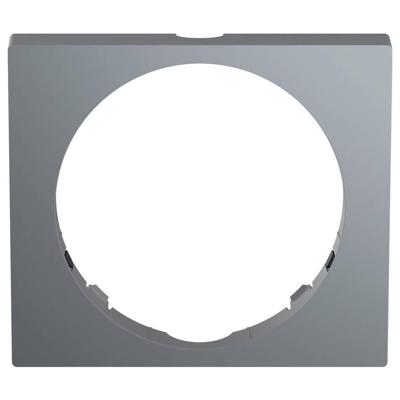 Busch-Jaeger 2CKA006800A3099 Frame