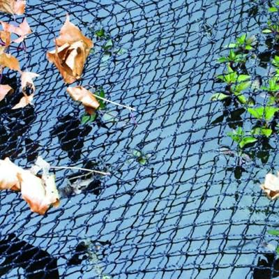 Cover Net 6 x 3 m - Vt - thumbnail