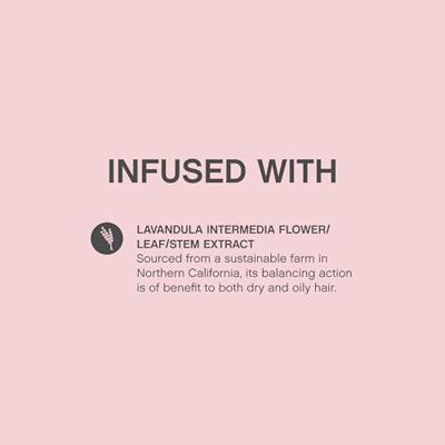 Kevin Murphy Anti.Gravity Lotion Kevin Murphy Anti.Gravity Lotion