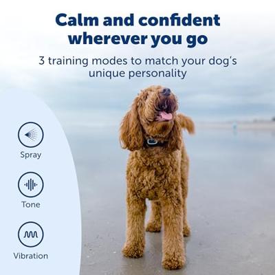 PETSAFE SPRAYTRAINER MET AFSTANDSBEDIENING - thumbnail