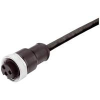 Weidmüller 1292190600 Sensor/actuator connector, geassembleerd 7/8 Aantal polen (sensoren): 4+PE Stekker (recht) op koppeling (recht) 6.00 m 1 stuk(s) Piece - thumbnail