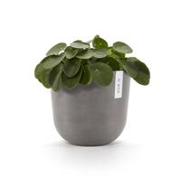 Ecopots Oslo kunststof bloempot Taupe - Ø 23,4 cm - thumbnail