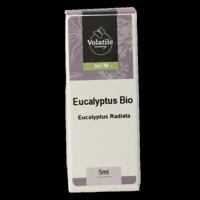 Volatile Eucalyptus radiata bio 5 Milliliter - thumbnail