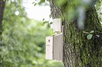 Vogelhuisje Kerbl 36 x 12 x 14 cm Hout - thumbnail