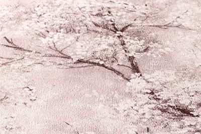 Livingwalls New Walls roze behang | 374204