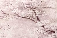 Livingwalls New Walls roze behang | 374204 - thumbnail