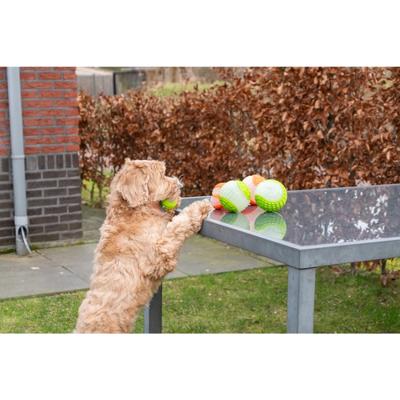 Dog Comets Glow in the Dark Moon Pink M Dog Comets Glow in the Dark Moon Pink M