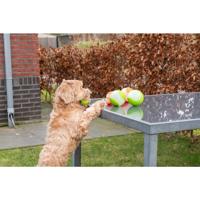 Dog Comets Glow in the Dark Moon Pink M - thumbnail