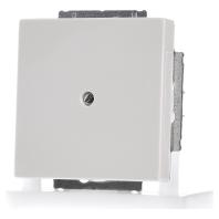 Busch-Jaeger blind centraalplaat 1742-82 ivoorwit - thumbnail