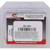 ALL BALLS Racing wiellagerset wheel bearing sets 25-140 complete with simmerrings - thumbnail