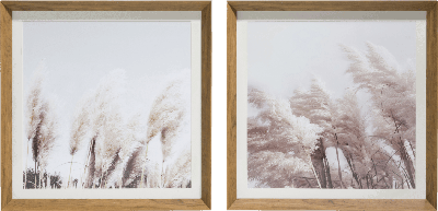 Schilderij Pampas set van 2