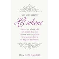 Het schone (Paperback) - thumbnail