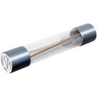 Püschel Feinsicherungen FSUT1,0B FSUT1,0B Buiszekering (Ø x l) 6.3 mm x 32 mm 1 A 250 V Traag -T- Inhoud 10 stuk(s) - thumbnail