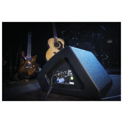 DAP M12 Actieve vloermonitor 12 inch DAP M12 Actieve vloermonitor 12 inch