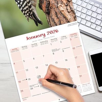 Garden Birds Kalender 2026
