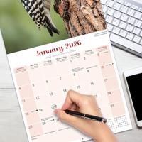 Garden Birds Kalender 2026 - thumbnail