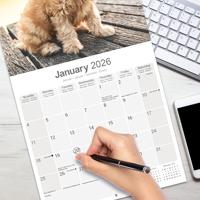 Cockapoo Kalender 2026 - thumbnail