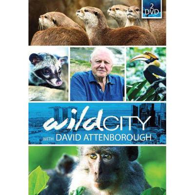 David Attenborough - Wild City - DVD (8718754409674)