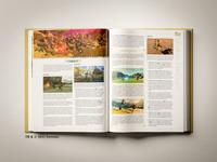 The Legend of Zelda: Tears of The Kingdom The Complete Official Guide Collector's Edition - thumbnail
