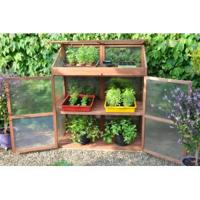 Sweet Basil kweekkas - thumbnail