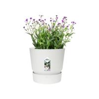Elho Greenville bloempot 16 cm wit - thumbnail