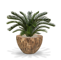 Cycas deluxe kunstpalm M 80cm - thumbnail