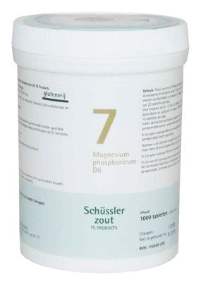 Pfluger Celzout 07 Magnesium Phosphoricum D6 Tabletten Pfluger Celzout 07 Magnesium Phosphoricum D6 Tabletten