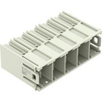 WAGO 832-3625 Female connector 20 stuk(s) - thumbnail