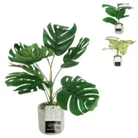 Kunstplant in cementen pot 40 cm 3 assorti | 12 stuks - thumbnail