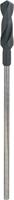 Bosch Accessories 2608597170 Bekistingsboor 26 mm Gezamenlijke lengte 400 mm Cilinderschacht 1 stuk(s) - thumbnail