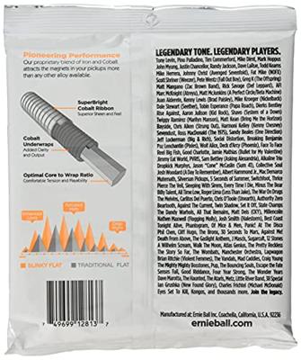 Ernie Ball P02813 snaar voor muziekinstrumenten Bas 4 stuk(s) Gitaar