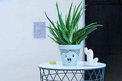 Edding glanslakmarker 750, set van 10 stuks in geassorteerde kleuren