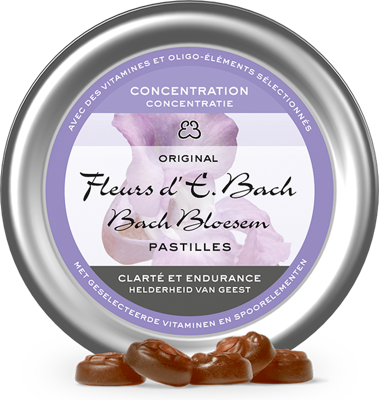 Bach Bloesem Bloesems pastille nr. 41 concentratie 50 Gram