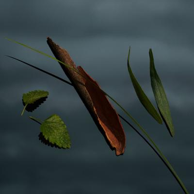 Burberry Mr. Burberry eau de parfum - 50 ml Burberry Mr. Burberry eau de parfum - 50 ml