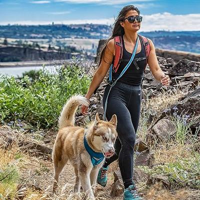 Riem Kurgo Quantum Orange Nylon