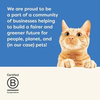 APPLAWS Tuna fillet with salmon in jelly - nat kattenvoer - 70g - thumbnail